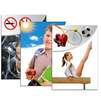 Модель-аппликация "Здоровье человека" - «globural.ru» - Архангельск