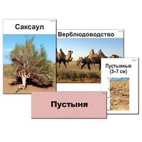 Модель-аппликация "Природные зоны России" - «globural.ru» - Архангельск