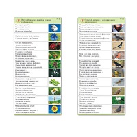 Комплект карточек (10) "Обучающий калейдоскоп. Природа" - «globural.ru» - Архангельск