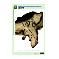 Рельефная таблица "Археоптерикс" (формат А1, матовое ламинир.) - «globural.ru» - Архангельск