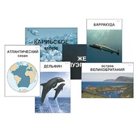 Модель-аппликация "Океаны. Знакомство" (ламинированная) - «globural.ru» - Архангельск