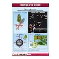 Таблица демонстрационная "Ориентирование на местности" (винил 70х100) - «globural.ru» - Архангельск