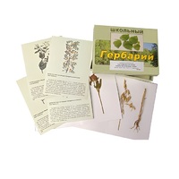 Гербарий "Систематика растений. Семейство Бобовые. Злаки" (раздаточный) - «globural.ru» - Архангельск