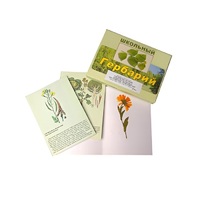 Гербарий "Систематика растений. Семейство Пасленовые. Крестоцветные. Сложноцветные" (раздаточный) - «globural.ru» - Архангельск