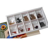 Коллекция "Плоды сельскохозяйственных растений" (вариант 2) - «globural.ru» - Архангельск