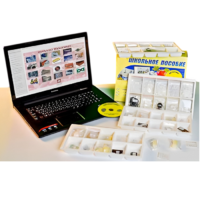 Коллекция натурально-интерактивная "Пластмассы" - «globural.ru» - Архангельск