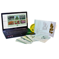 Гербарий натурально-интерактивный "Лекарственные растения" - «globural.ru» - Архангельск