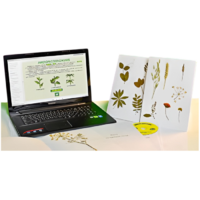 Гербарий натурально-интерактивный "Морфология растений" - «globural.ru» - Архангельск