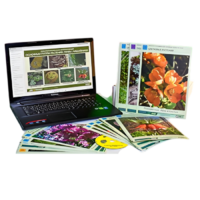 Гербарий натурально-интерактивный "Основные группы растений. Грибы. Лишайники" - «globural.ru» - Архангельск