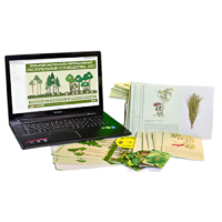 Гербарий натурально-интерактивный "Растительные сообщества. Лес" - «globural.ru» - Архангельск