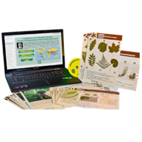Гербарий натурально-интерактивный к курсу основ общей биологии - «globural.ru» - Архангельск