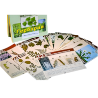 Гербарий к курсу основ общей биологии - «globural.ru» - Архангельск