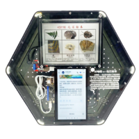 Модуль интерактивный с искусственным интеллектом "Интеллектуальная география" - «globural.ru» - Архангельск