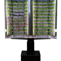 Вертикальная  ферма «Моя микрозелень» комплектация  «Театро настенная» - «globural.ru» - Архангельск