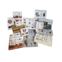 Комплект коллекций демонстрационный - «globural.ru» - Архангельск