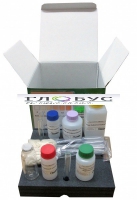 Тест-комплект «Железо общее» - «globural.ru» - Архангельск