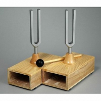 Камертоны на резонансных ящиках с молоточком - «globural.ru» - Архангельск