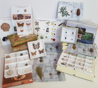 Комплект коллекций демонстрационный (по разным темам курса биологии) - «globural.ru» - Архангельск