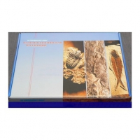 Коллекция "Палеонтологическая" - «globural.ru» - Архангельск