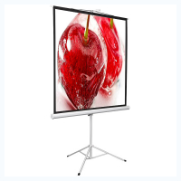 Экран на штативе DSKD-1106 - «globural.ru» - Архангельск