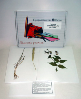 Гербарий "Кормовые растения" (20 видов) - «globural.ru» - Архангельск