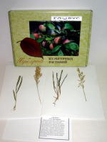 Гербарий Культурные растения (28 видов) - «globural.ru» - Архангельск