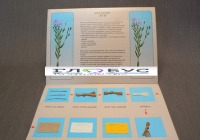 Коллекция "Лен для начальной школы" - «globural.ru» - Архангельск