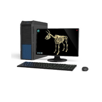 Макет масштабный «Скелет Коровы» Масштаб 1:2 - «globural.ru» - Архангельск