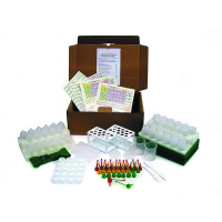 Набор посуды и принадлежностей (Микролаборатория на 2-ух учащихся) - «globural.ru» - Архангельск