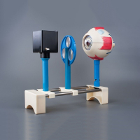 Модель демонстрационная "Зрение" (электрическая) - «globural.ru» - Архангельск