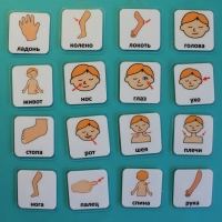 Набор карточек "Части тела" - «globural.ru» - Архангельск
