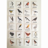 Набор карточек "ПТИЦЫ" - «globural.ru» - Архангельск