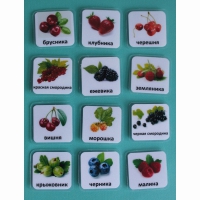 Набор карточек "Ягоды" - «globural.ru» - Архангельск