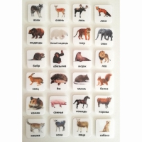 Набор карточек "ЖИВОТНЫЕ" - «globural.ru» - Архангельск