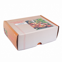 Муляжи съедобных и ядовитых грибов  - «globural.ru» - Архангельск