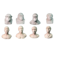 Набор палеонтологических муляжей - «globural.ru» - Архангельск