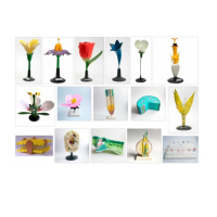 Комплект ботанических моделей демонстрационный - «globural.ru» - Архангельск