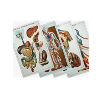 Таблицы рельефные - «globural.ru» - Архангельск