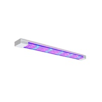 Фитолампа - «globural.ru» - Архангельск