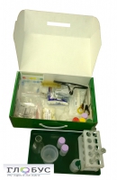 Миникейс учащегося «Начальная школа» - «globural.ru» - Архангельск