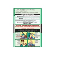 ОБЖ Правила оказания первой медицинской помощи (комплект таблиц) - «globural.ru» - Архангельск