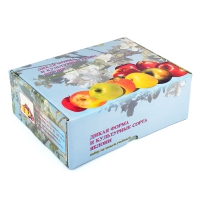 Набор муляжей "Дикая форма и культурные сорта яблок" - «globural.ru» - Архангельск