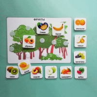Пособие "Овощи и фрукты" - «globural.ru» - Архангельск