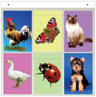 Касса "Предметные картинки" - «globural.ru» - Архангельск