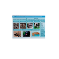 Стенд-планшет светодинамический «Острые отравления животных лекарственными препаратами» - «globural.ru» - Архангельск