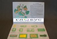 Коллекция «Шелк» для начальной школы - «globural.ru» - Архангельск