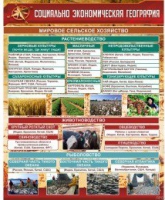 Стенд "Социально-экономическая география. Сельское хозяйство" - «globural.ru» - Архангельск