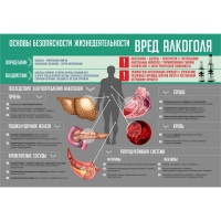 Стенд "Алкоголь" - «globural.ru» - Архангельск