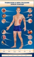 Электрифицированный стенд-тренажер "Травматизм и меры оказания первой помощи" - «globural.ru» - Архангельск