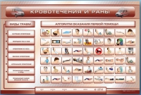 Трехсекционный базовый комплект "Травмы. Кровотечения. Ожоги" для учащихся общеобразовательных учреждений - «globural.ru» - Архангельск